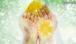 Az áldás állandó