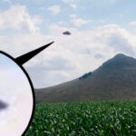 Véletlenül megörökített UFO