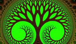 A játék során bármit megtehetünk