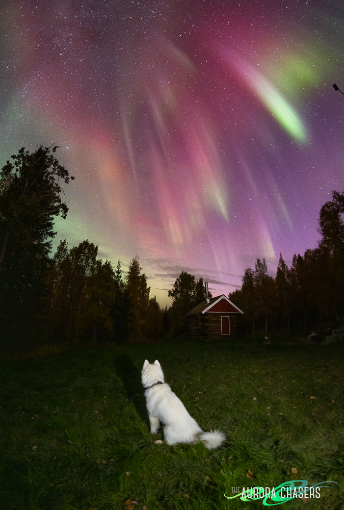 Csodálatos aurora borealis Fairbanksban, a sarki fények otthonában 3