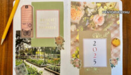 A vizualizáció az első lépés álmaid megvalósításához. Használd a vision board/álomtábla erejét, és programozd elmédet arra, amit valóban szeretnél elérni. 