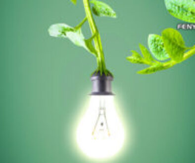 A Plant-e holland cég új technológiája lehetővé teszi, hogy élő növényekből villamos energiát nyerjünk. A megoldás a tiszta energia jövőjét hozza el.