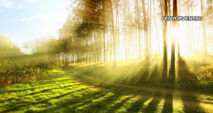 A belső csend megnyitja a természethez vezető utat. A gondolkodáson túli jelenlétben mély kapcsolat és kölcsönös tudatosság születik. 